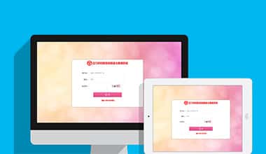 辽宁市妇联数据信息三级报送系统