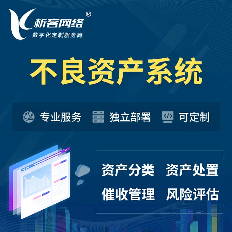 辽宁不良资产管理系统